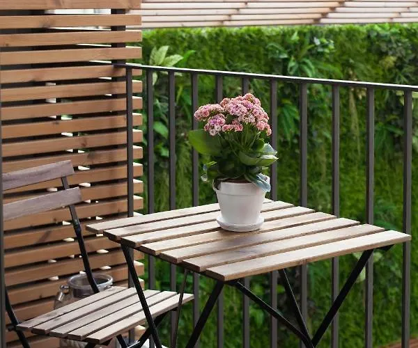 Apartment 7 Gaia Roaster *