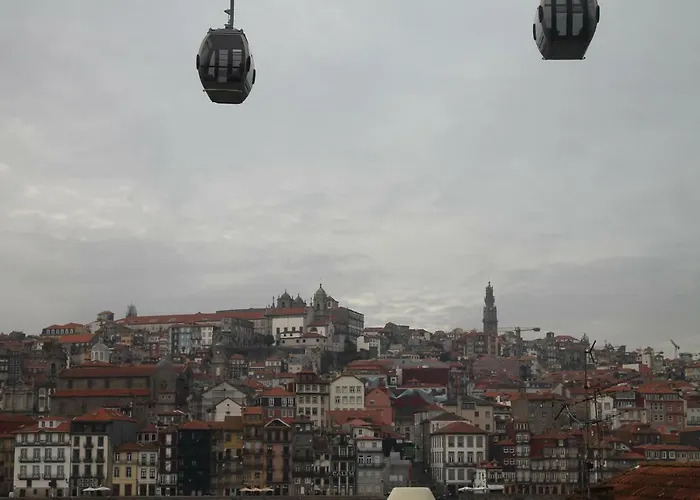 Apartment 7 Gaia Roaster *